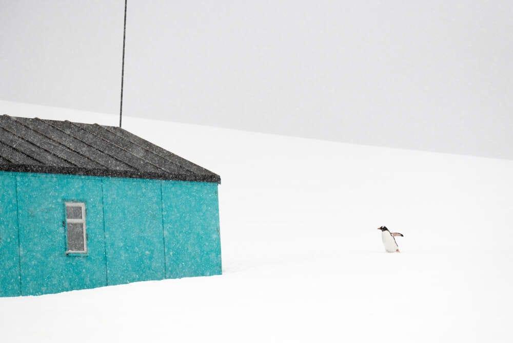 Aaron Liu artwork 4