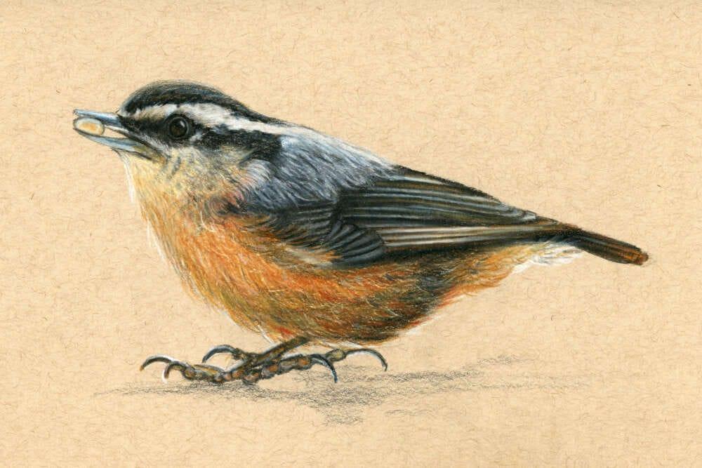 Andrea Paterson artwork 5