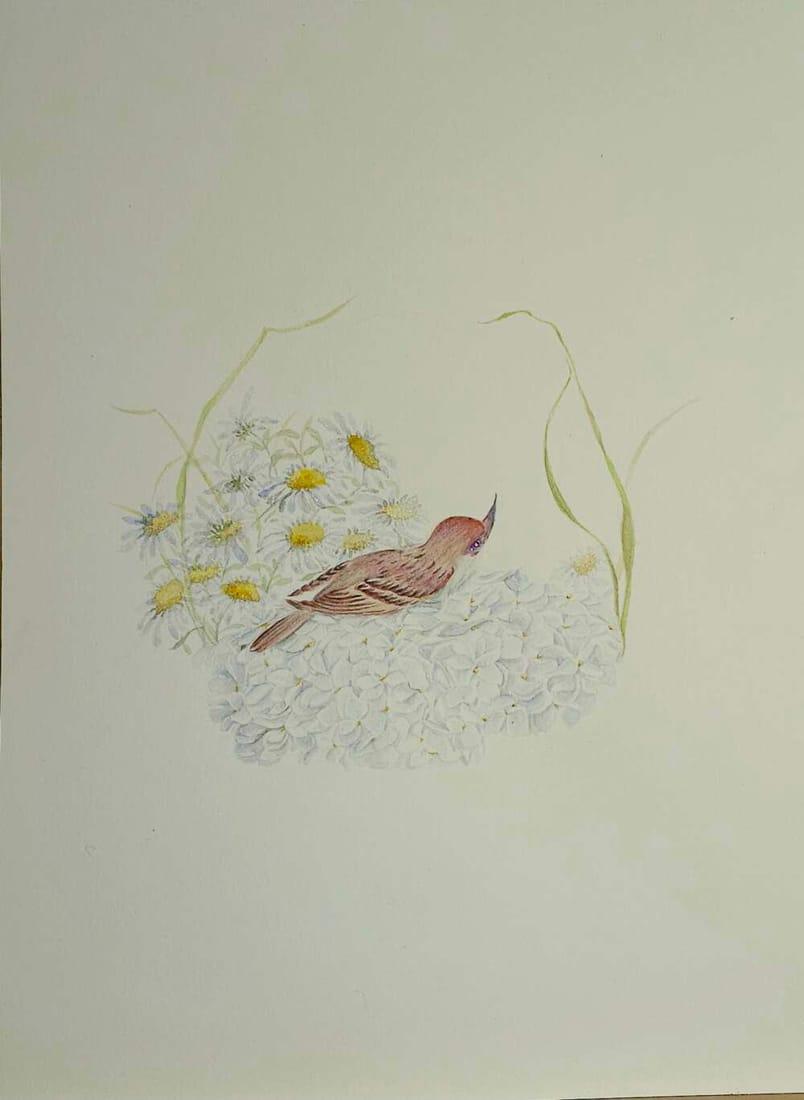 Weila Suo artwork 1