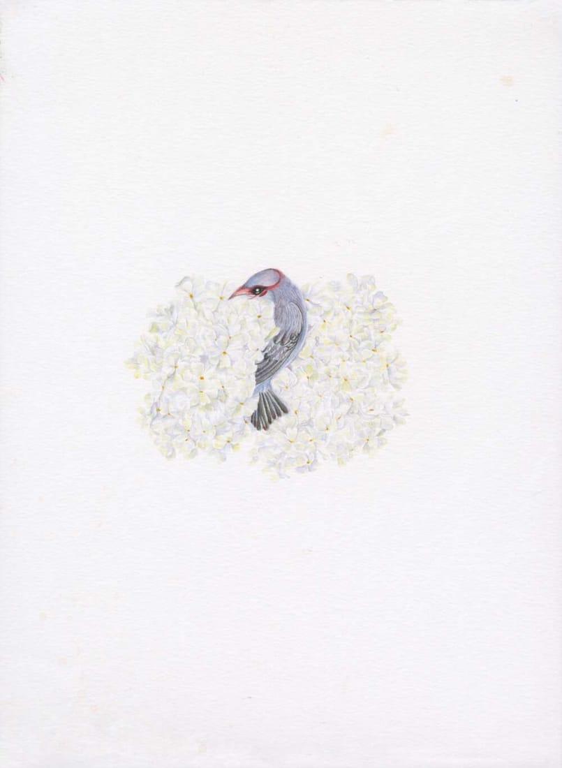 Weila Suo artwork 5